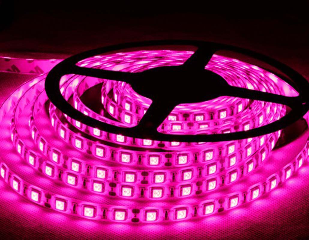 5M LED Strip Roll - gadgetpot.lk