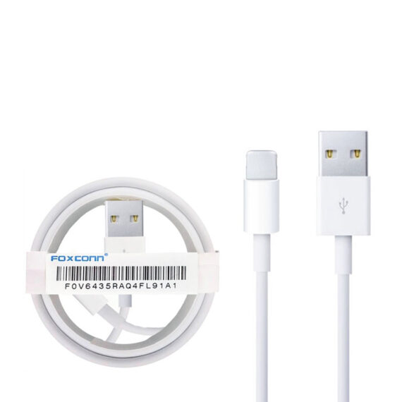 Apple-Foxconn-cable-570x570-2.jpg